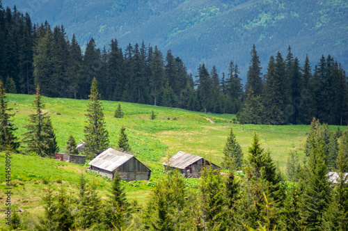 Beautiful landscape forest and glade with wooden houses in the Carpathian mountains