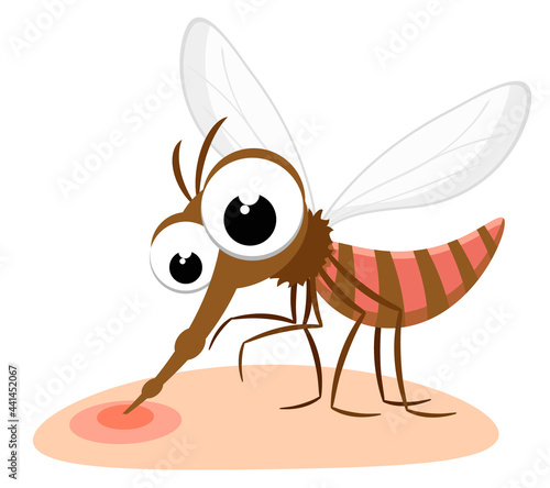 Mosquito has bitten and drinks blood on a white background. Character