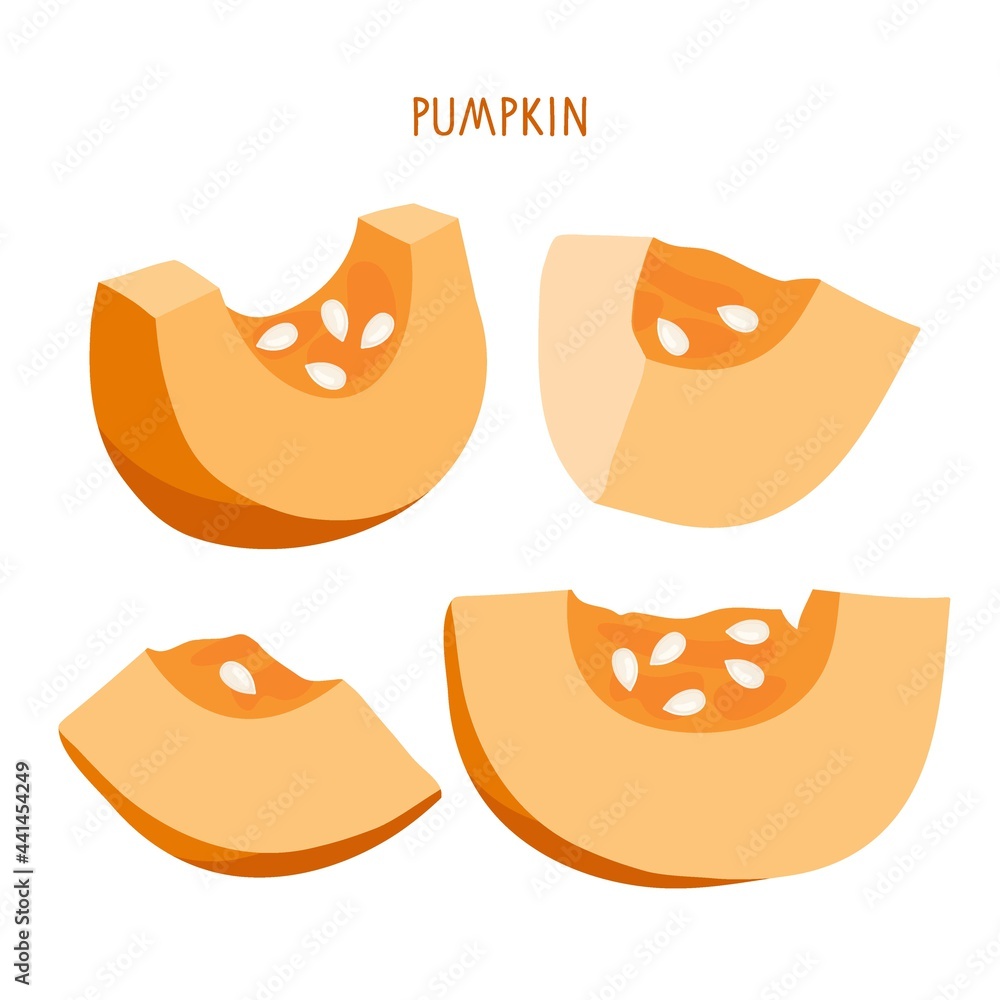 Pumpkin pieces. Cut vegetable with seeds isolated on white. Healthy eating Vegetable Ingredients for cooking. Autumn flat design for menu, cafe, restaurant, farmers market, vegetarian recipe
