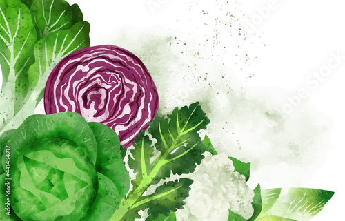 Summer veggies banner, hand drawn vector watercolor illustration