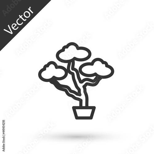 Grey line Japanese bonsai tree icon isolated on white background. Japanese culture, horticulture, olericulture hobby concept. Vector