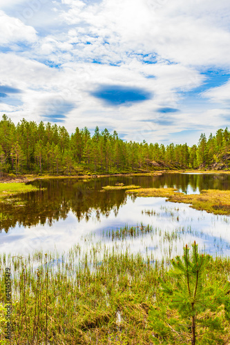 Fototapeta Naklejka Na Ścianę i Meble -  Blue sky reflection lake river reflection nature landscape Nissedal Norway.
