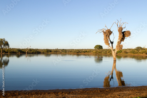 Kruger National Park: Lower Sabie Sunset Dam
