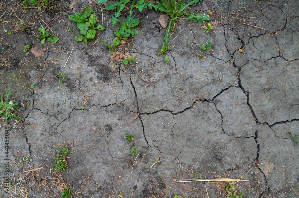 Cracked ground texture with grass pieces Cracked ground texture with grass pieces