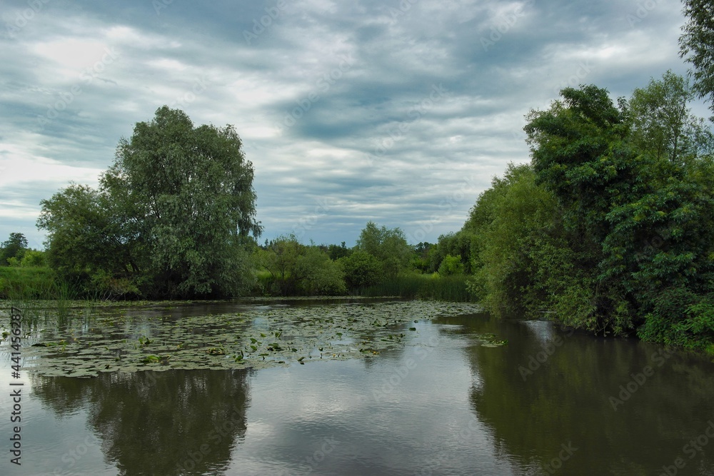 Obraz premium Summer landscape on a riverside flooded meadow with trees and lush green grass