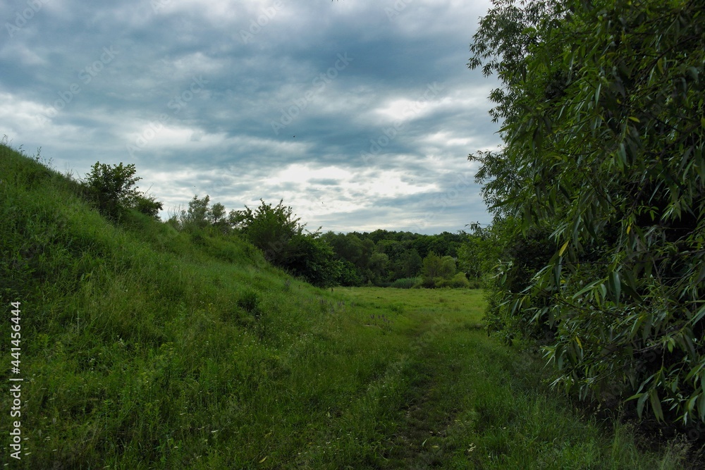 Summer landscape on a riverside flooded meadow with trees and lush green grass Summer landscape on a riverside flooded meadow with trees and lush green grass