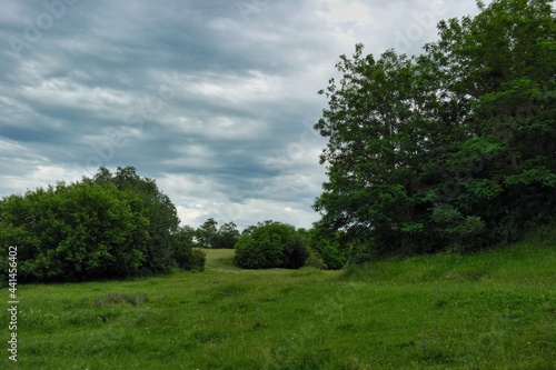 Summer landscape on a riverside flooded meadow with trees and lush green grass