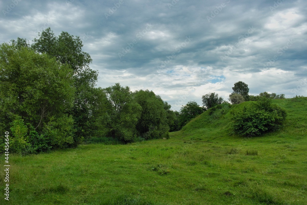 Summer landscape on a riverside flooded meadow with trees and lush green grass Summer landscape on a riverside flooded meadow with trees and lush green grass