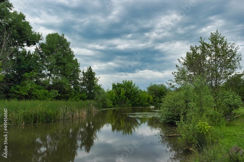 Fototapeta Naklejka Na Ścianę i Meble -  Summer landscape on a riverside flooded meadow with trees and lush green grass