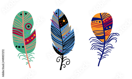 Colorful Feather and Plumage as Boho Tribal Element Vector Set