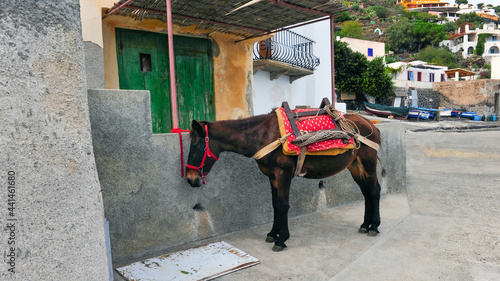 Transport System on Alicudi Island, Sicily