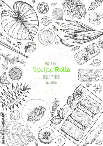 Asian food menu design template. Spring rolls and ingredients for spring rolls vector illustration. Vietnamese food top view frame. Vintage hand drawn sketch vector illustration. Engraved image.