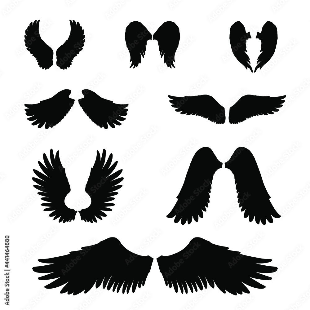 Obraz premium Angel or bird wings collection vector. png and jpeg files isolated on white background.