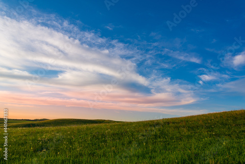 Sunset and blue sky with field. © Ilya