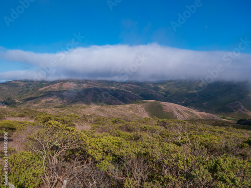 Foggy Costal Scrub cover hills near Muir Beach GGNRA California 4