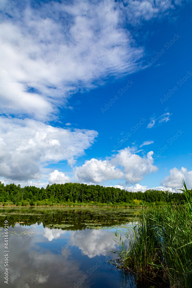 ein wundervoller Tag am See, der Himmel spiegelt sich im Wasser
