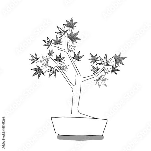 Japanese garden illustration. Hand drawn sketch. Japanese culture and plants. Vector illustration of Japanese maple tree bonsai icon. Graphic design elements. Isolated objects.
