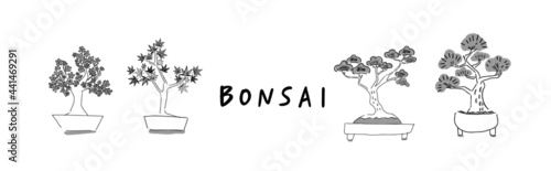 Hand drawn illustration of Japanese bonsai collection of pine tree, cherry blossom and maple tree in simple icon drawing 
