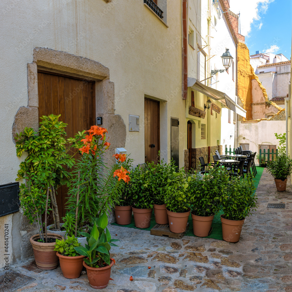 Narrow cobblestone wavy streets with potted tropical plants in the labyrinths of medieval Old Town of Tossa de Mar in Catalonia, Spain. Famous tourist destination in South Europe