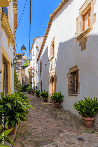 Fototapeta Naklejka Na Ścianę i Meble -  Narrow cobblestone wavy streets with potted tropical plants in the labyrinths of medieval Old Town of Tossa de Mar in Catalonia, Spain. Famous tourist destination in South Europe