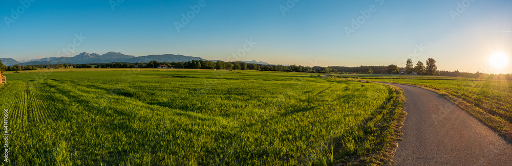 Getreidefeld in Bayern zu Sonnenuntergang