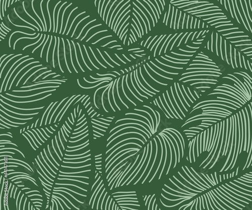 Luxury floral nature background vector. nature tropical pattern, split-leaf Philodendron plant with monstera plant line arts, Vector illustration
