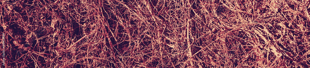 abstract violet and burgundy colors background abstract violet and burgundy colors background