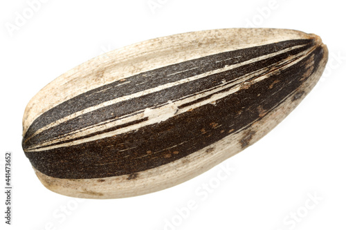 Fotografie Sunflower seeds on white background