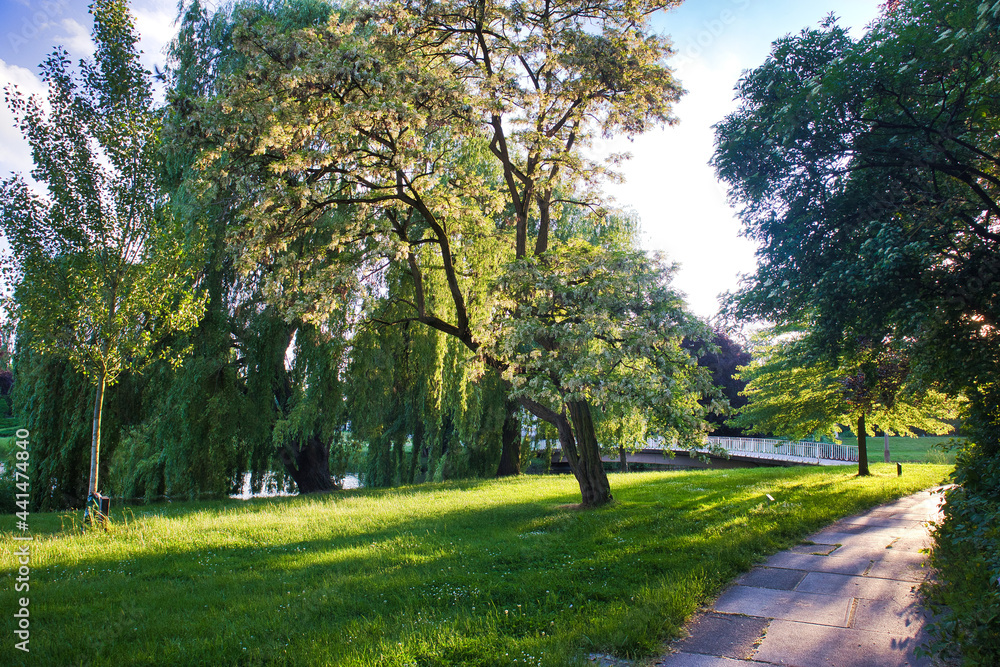 Obraz premium Sommerliche Parklandschaft mit grüner Wiese und kleiner Brücke im Abendlicht, agra-Park, Markkleeberg, Landkreis Leipzig, Sachsen, Deutschland