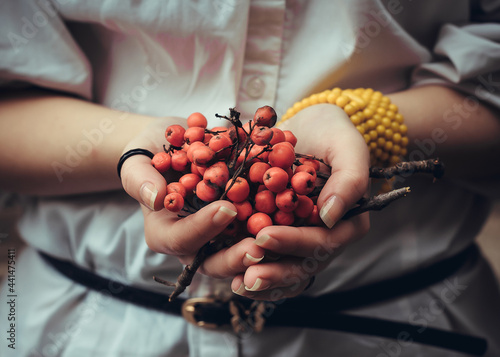 Woman holds ripe red rowan in her hands. Autumn harvest of berries. Natural eco-friendly food. Alternative medicine.