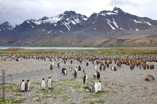 View of South Georgia Island