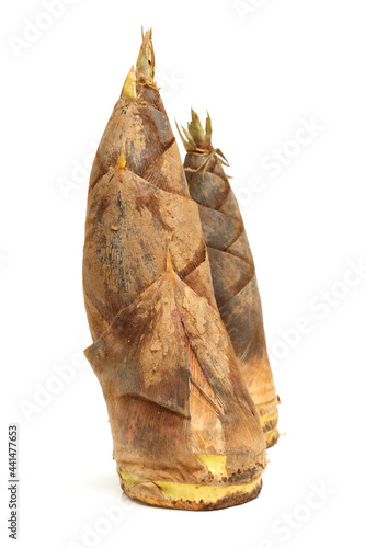 Bamboo shoot on the white background  © zcy