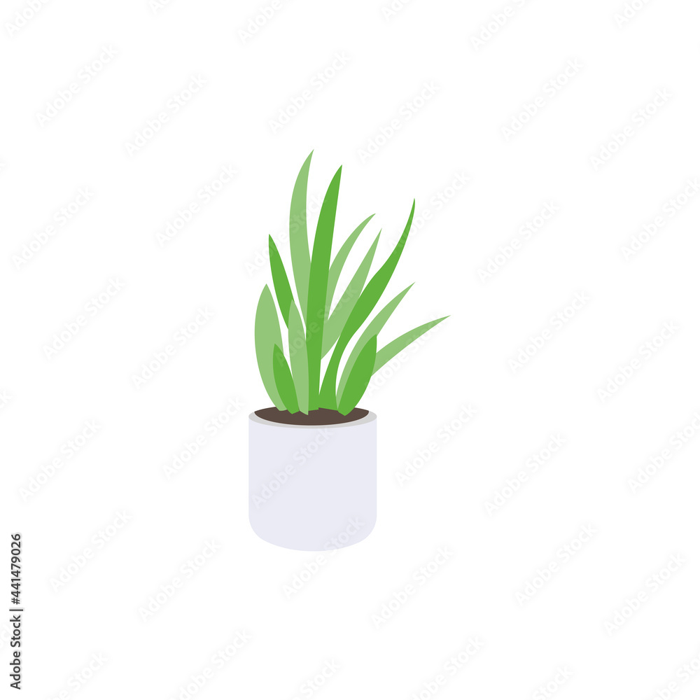 Isolated plant icon Home decoration Isolated plant icon Home decoration