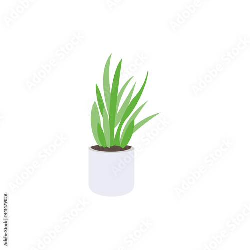 Isolated plant icon Home decoration