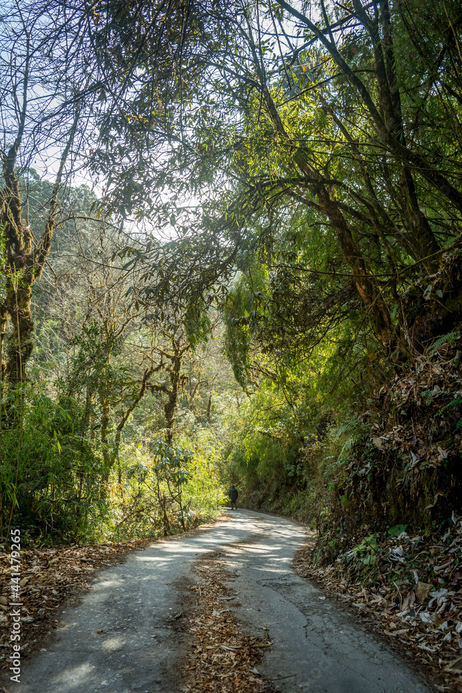 The beautiful road, Darjeeling , West Bengal, India The beautiful road, Darjeeling , West Bengal, India