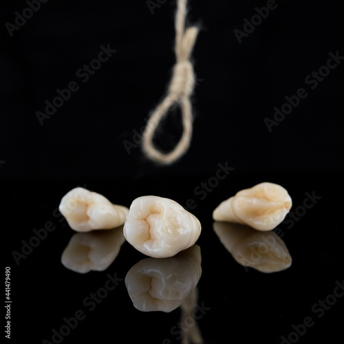 Premolar and canine tooth after removal with roots with thread on a black background.
