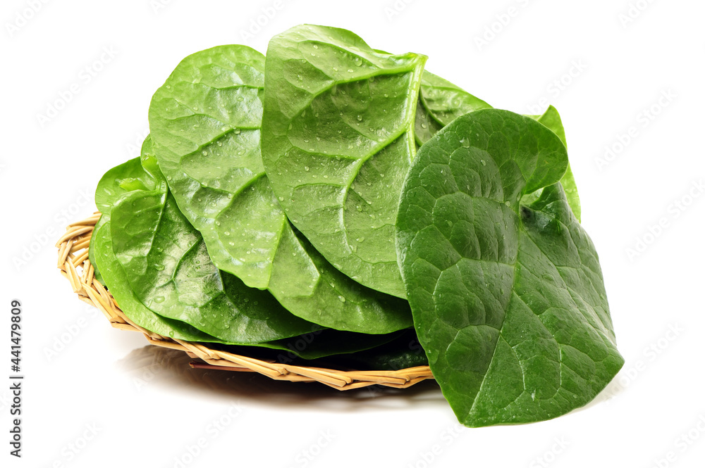 Stack of fresh malabar spinach vegetable leaves on white background Stack of fresh malabar spinach vegetable leaves on white background