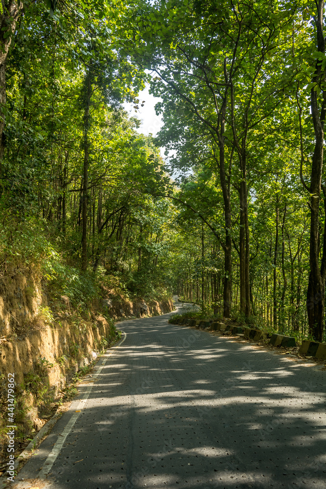 Fototapeta premium The Beautiful Road, Darjeeling, India