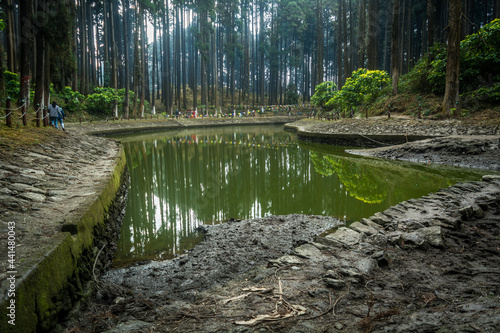 Sacred pond of Lamahatta, darjeeling, India photo