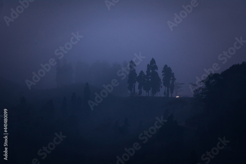 A surreal evening at Takdah, Darjeeling, India photo