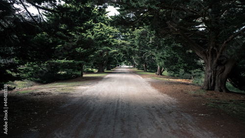 road in the park