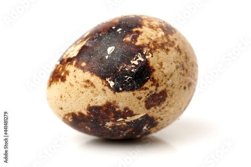 quail eggs on white background