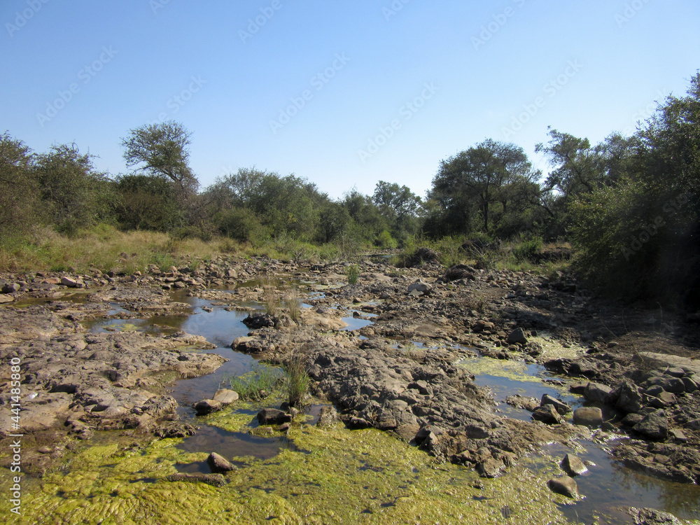 Kruger National Park: stream