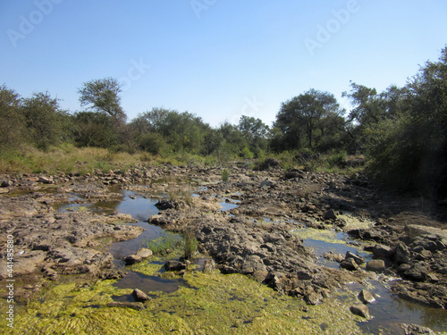 Kruger National Park  stream