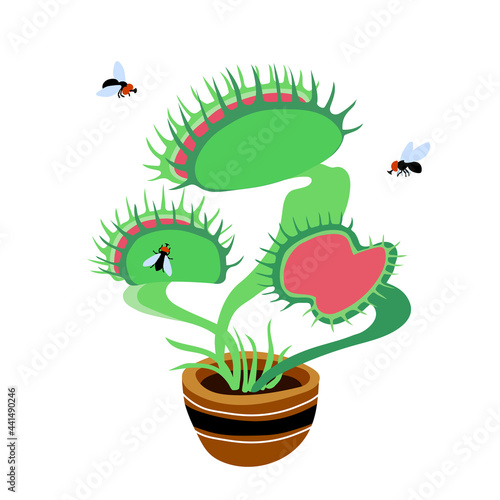 venus flytrap plant, black ugly flies and carnivorous home flower in a ceramic pot, color vector illustration isolated on a white background in a cartoon and flat design