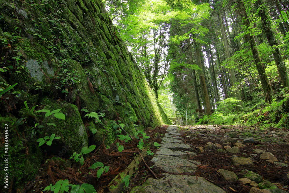 Obraz premium 城跡の石垣