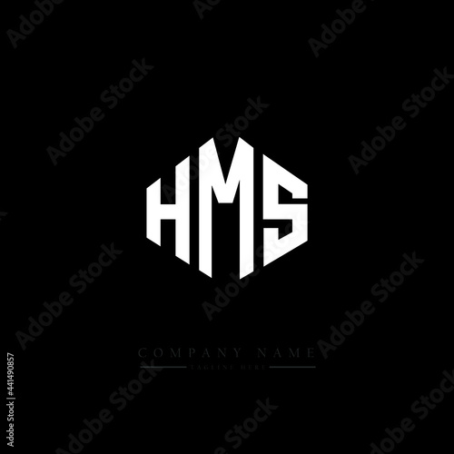 Obraz na plátně HMS letter logo design with polygon shape