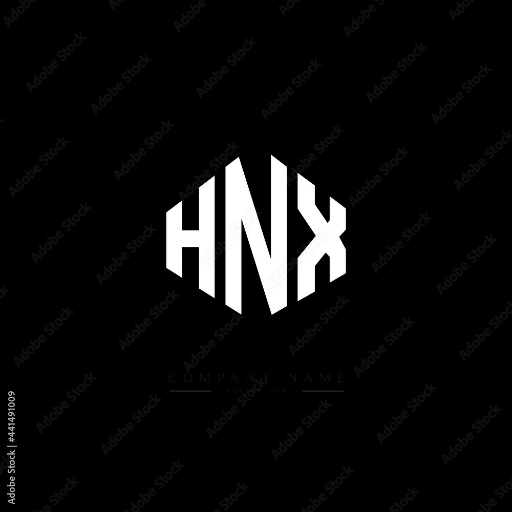 HNX letter logo design with polygon shape. HNX polygon logo monogram. HNX cube logo design. HNX hexagon vector logo template white and black colors. HNX monogram. HNX business and real estate logo. 