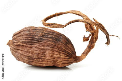 Black cardamom on a white background  photo