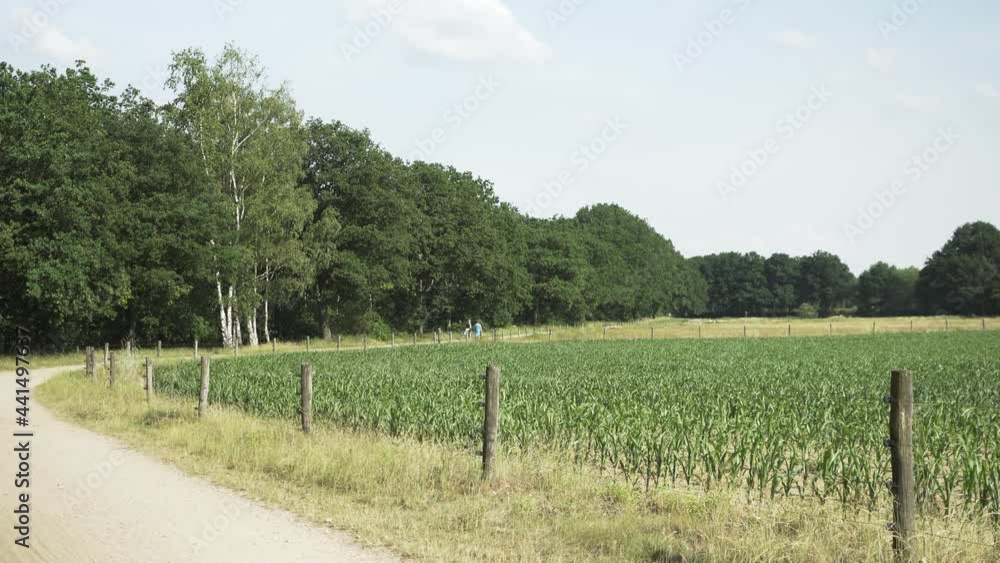Some women taking a hike in the Netherlands. Some women taking a hike in the Netherlands.